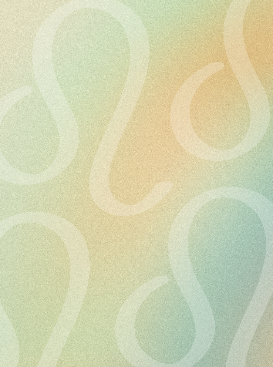 A Collection For Leos