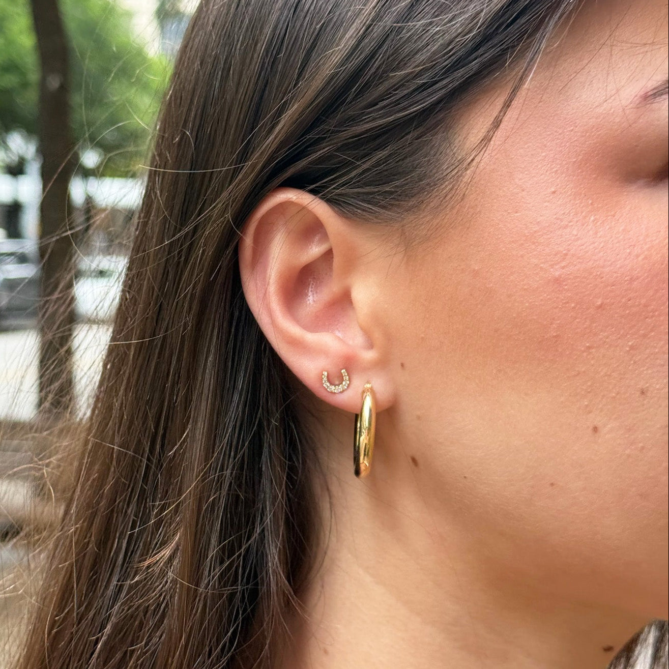 Diamond Horseshoe Studs